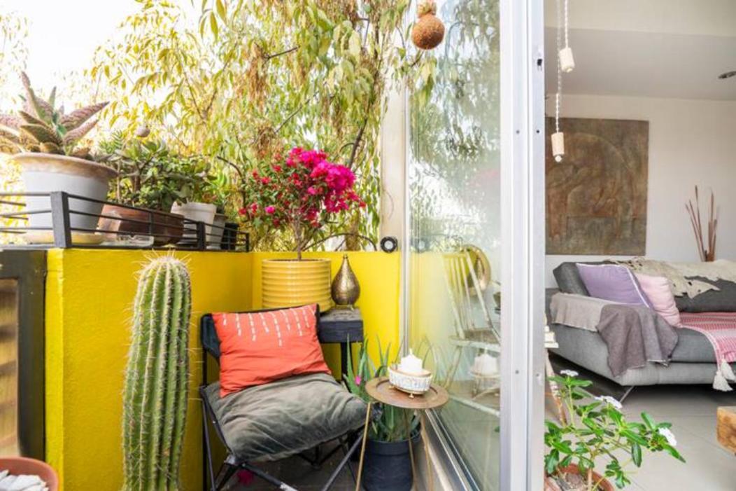 Pequena Habitacion Frida - Design Cdmx - Areas Comunes Compartidas Città del Messico Esterno foto